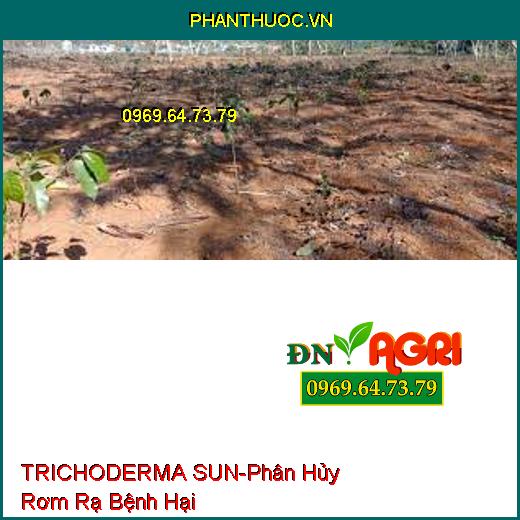 TRICHODERMA SUN-Phân Hủy Rơm Rạ Bệnh Hại