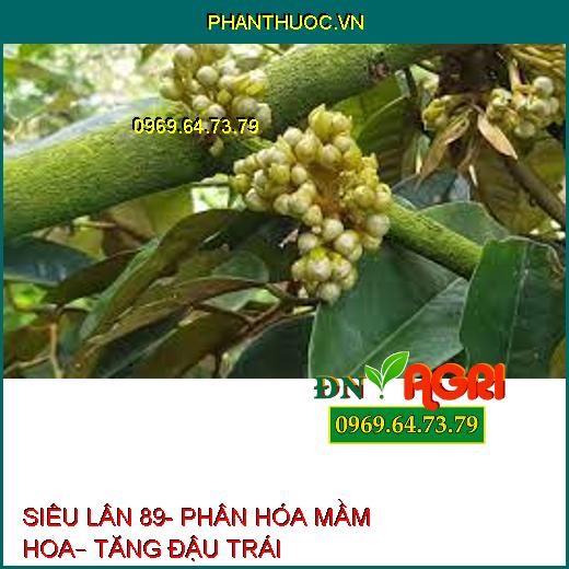 SIÊU LÂN 89- PHÂN HÓA MẦM HOA– TĂNG ĐẬU TRÁI