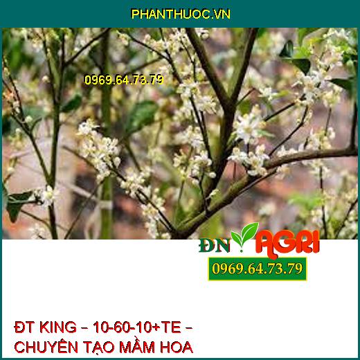 ĐT KING – 10-60-10+TE – CHUYÊN TẠO MẦM HOA