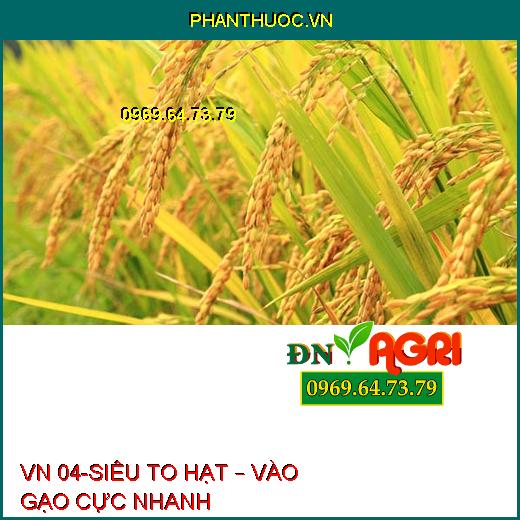 VN 04-SIÊU TO HẠT – VÀO GẠO CỰC NHANH