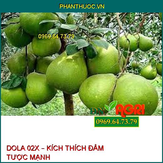 DOLA 02X – KÍCH THÍCH ĐÂM TƯỢC MẠNH