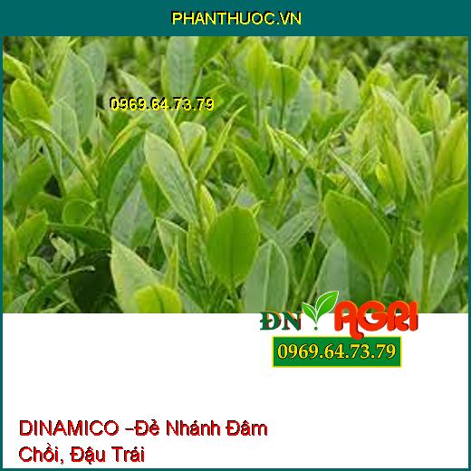 DINAMICO –Đẻ Nhánh Đâm Chồi, Đậu Trái