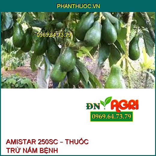 AMISTAR 250SC – THUỐC TRỪ NẤM BỆNH