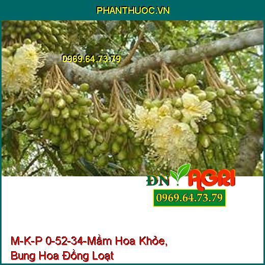 M-K-P 0-52-34-Mầm Hoa Khỏe, Bung Hoa Đồng Loạt