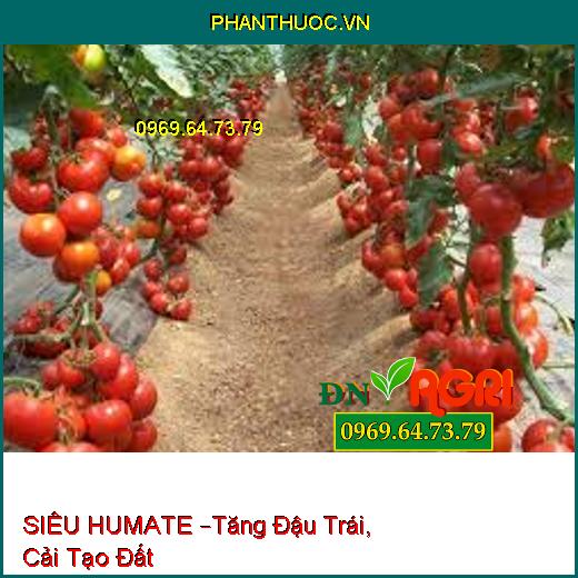 SIÊU HUMATE –Tăng Đậu Trái, Cải Tạo Đất