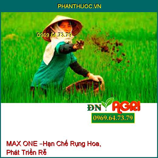 MAX ONE –Hạn Chế Rụng Hoa, Phát Triển Rễ