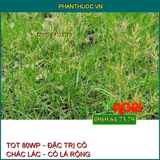 TOT 80WP – ĐẶC TRỊ CỎ CHÁC LÁC – CỎ LÁ RỘNG