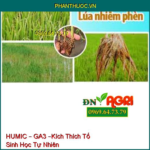 HUMIC – GA3 –Kích Thích Tố Sinh Học Tự Nhiên