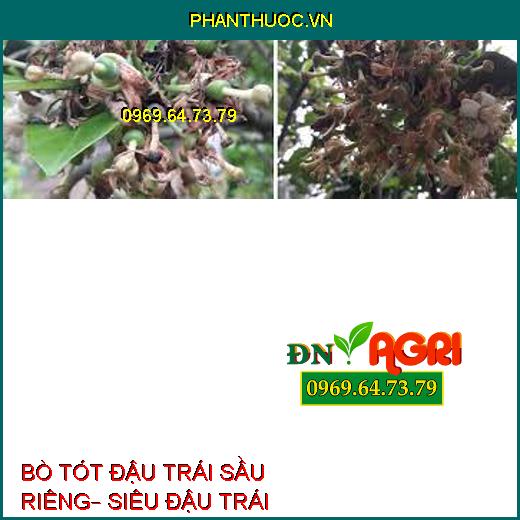 BÒ TÓT ĐẬU TRÁI SẦU RIÊNG– SIÊU ĐẬU TRÁI