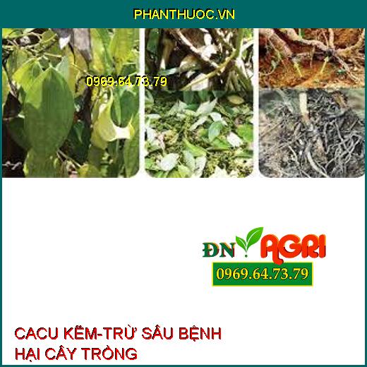 CACU KẼM-TRỪ SÂU BỆNH HẠI CÂY TRỒNG