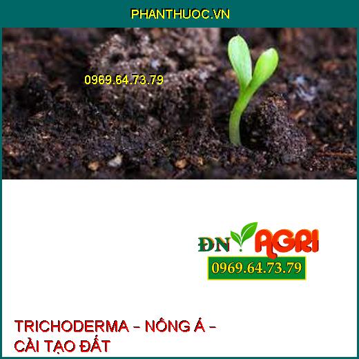 TRICHODERMA – NÔNG Á – CẢI TẠO ĐẤT 