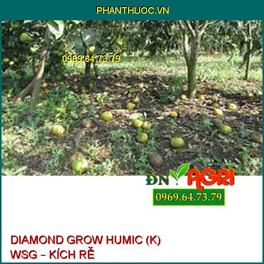 DIAMOND GROW HUMIC (K) WSG – KÍCH RỄ 