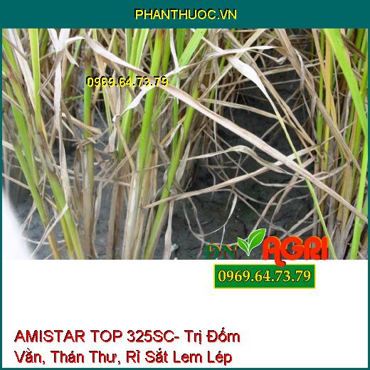 AMISTAR TOP 325SC- Trị Đốm Vằn, Thán Thư, Rỉ Sắt Lem Lép Hạt