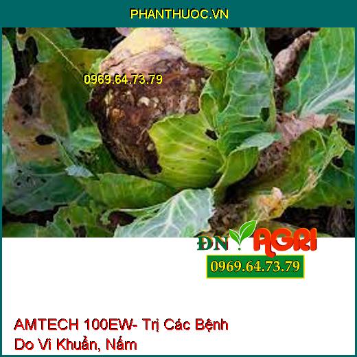 AMTECH 100EW- Đặc Trị Các Bệnh Do Vi Khuẩn, Nấm