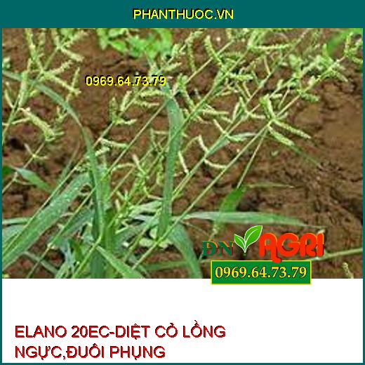 ELANO 20EC-DIỆT CỎ LỒNG NGỰC,ĐUÔI PHỤNG