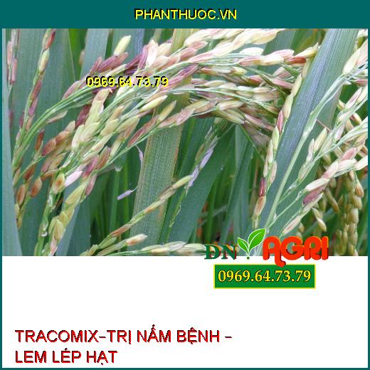 TRACOMIX–TRỊ NẤM BỆNH – LEM LÉP HẠT