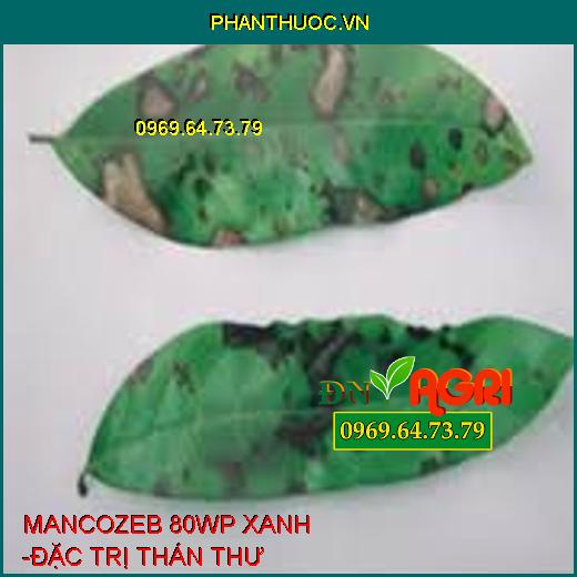 MANCOZEB 80WP XANH -ĐẶC TRỊ THÁN THƯ 