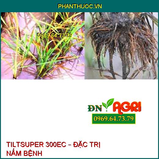 TILTSUPER 300EC – ĐẶC TRỊ NẤM BỆNH