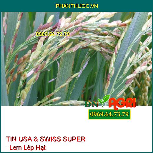 TIN USA & SWISS SUPER –Lem Lép Hạt