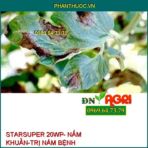 STARSUPER 20WP- NẤM KHUẨN-TRỊ NẤM BỆNH