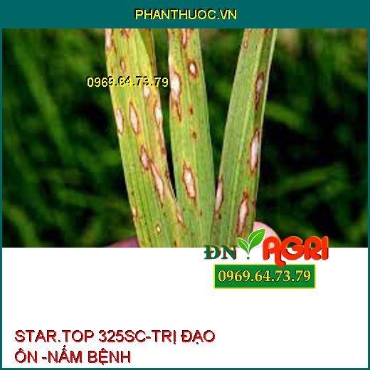 STAR.TOP 325SC-TRỊ ĐẠO ÔN -NẤM BỆNH