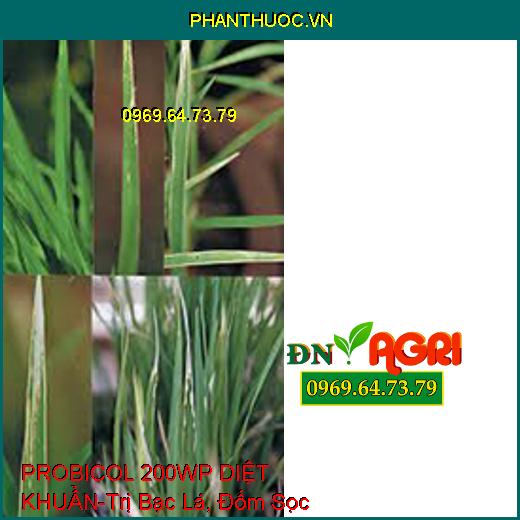 PROBICOL 200WP DIỆT KHUẨN-Trị Bạc Lá, Đốm Sọc