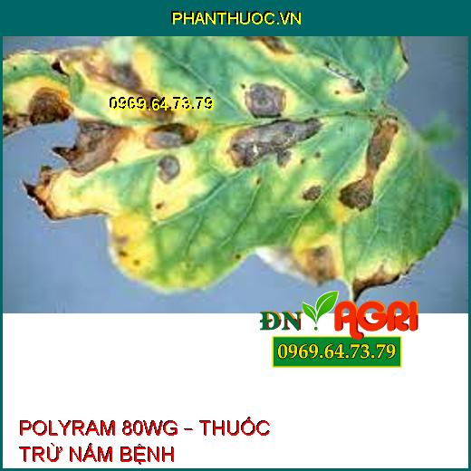 POLYRAM 80WG – THUỐC TRỪ NẤM BỆNH 