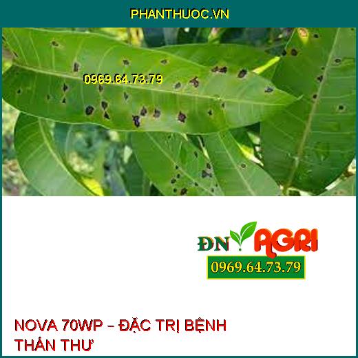 NOVA 70WP – ĐẶC TRỊ BỆNH THÁN THƯ