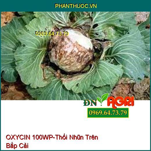 OXYCIN 100WP-Thối Nhũn Trên Bắp Cải