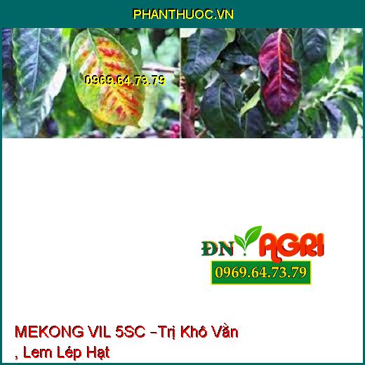 MEKONG VIL 5SC –Trị Khô Vằn , Lem Lép Hạt