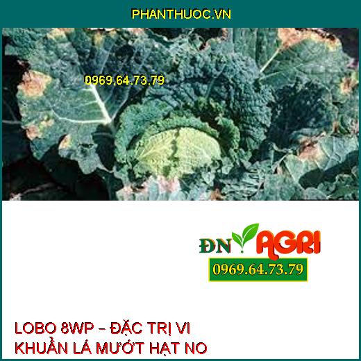 LOBO 8WP – ĐẶC TRỊ VI KHUẨN LÁ MƯỚT HẠT NO