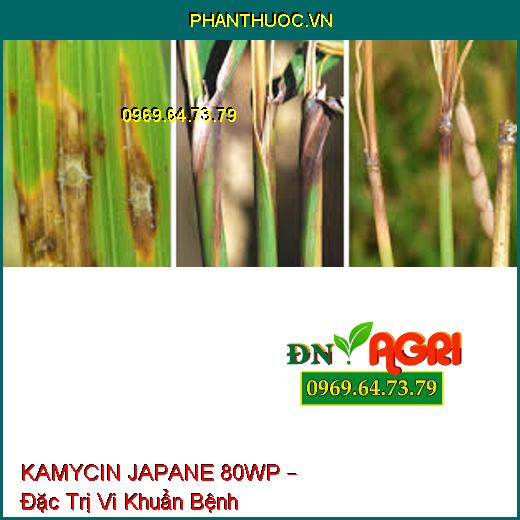 KAMYCIN JAPANE 80WP – Đặc Trị Vi Khuẩn Bệnh