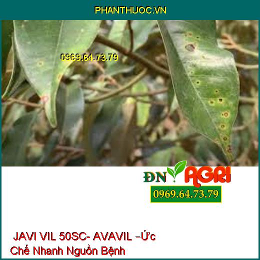  JAVI VIL 50SC- AVAVIL –Ức Chế Nhanh Nguồn Bệnh