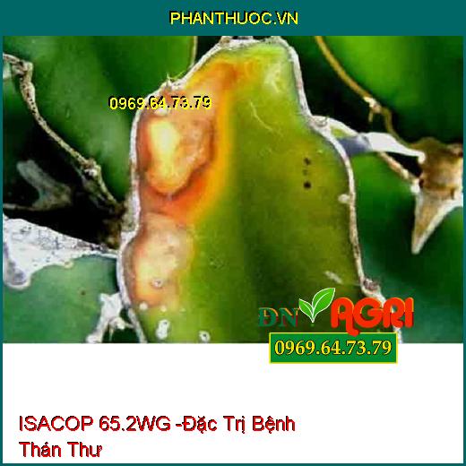 ISACOP 65.2WG -Đặc Trị Bệnh Thán Thư