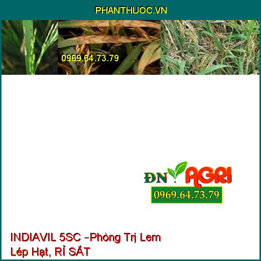 INDIAVIL 5SC –Phòng Trị Lem Lép Hạt, RỈ SẮT