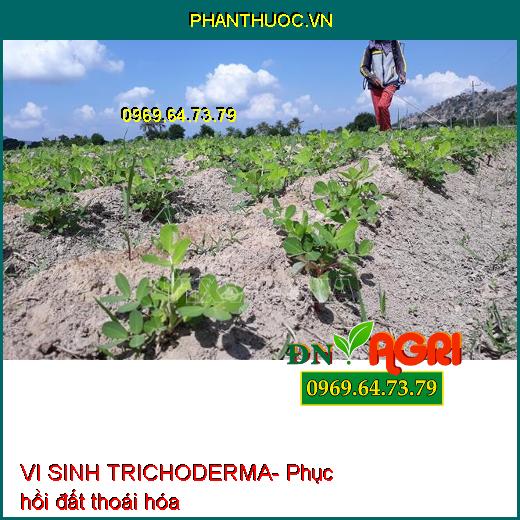 VI SINH TRICHODERMA- Cải Tạo Đất, Ngừa Tuyến Trùng, Giảm Ngộ Độc Khi Sử Dụng Phân Bón Hóa Học