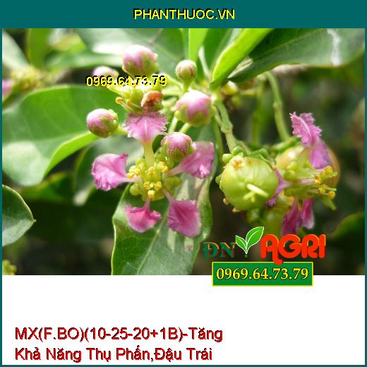 PHÂN BÓN MX(F.BO)(10-25-20+1B) –Tăng Khả Năng Thụ Phấn , Giúp Đậu Trái Nhiều