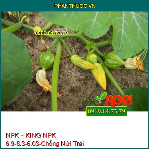 PHÂN BÓN HỖN HỢP NPK – KING NPK 6.9-6.3-6.03-Chống Nứt Trái, Tăng Năng Suất