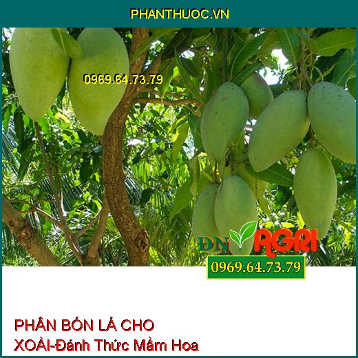 PHÂN BÓN LÁ CHO XOÀI-Đánh Thức Mầm Hoa, Tăng Khả Năng Thụ Phấn, Chống Chai Đọt