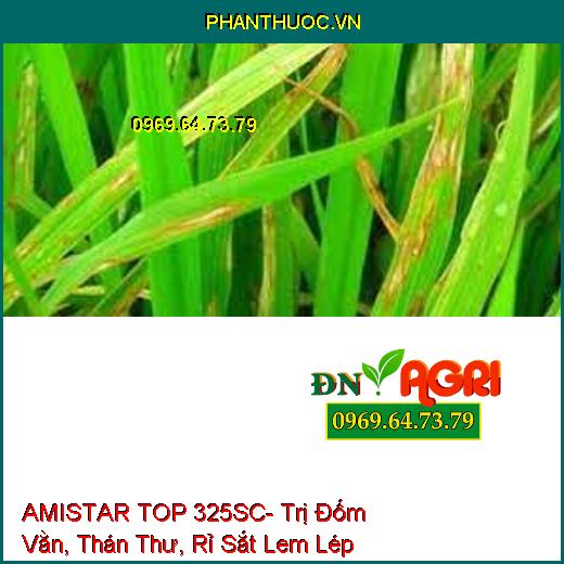 AMISTAR TOP 325SC- Trị Đốm Vằn, Thán Thư, Rỉ Sắt Lem Lép Hạt