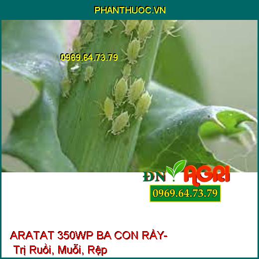 ARATAT 350WP BA CON RẦY- Trị Ruồi, Muỗi, Rệp