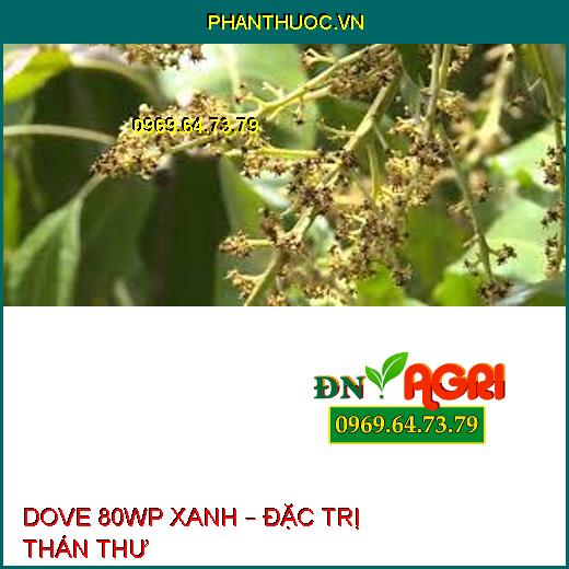 DOVE 80WP XANH – ĐẶC TRỊ THÁN THƯ