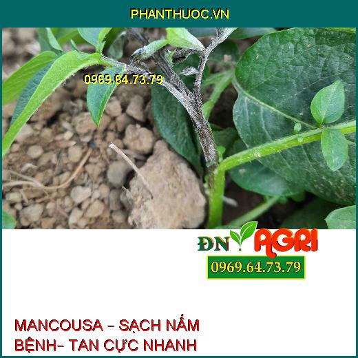 MANCOUSA – SẠCH NẤM BỆNH– TAN CỰC NHANH