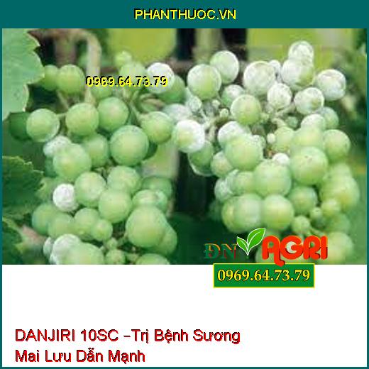 DANJIRI 10SC –Trị Bệnh Sương Mai Lưu Dẫn Mạnh