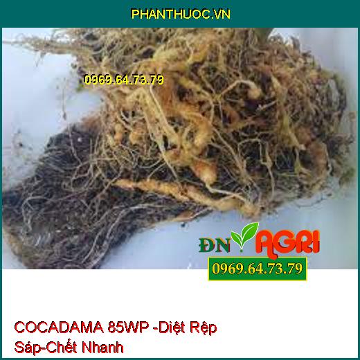 COCADAMA 85WP -Diệt Rệp Sáp-Chết Nhanh