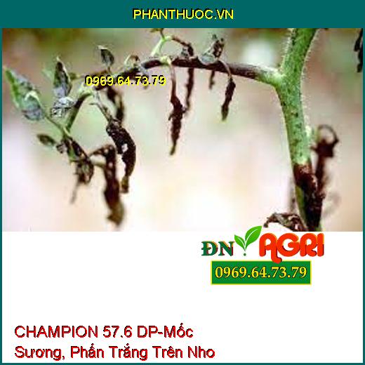 CHAMPION 57.6 DP-Mốc Sương, Phấn Trắng Trên Nho