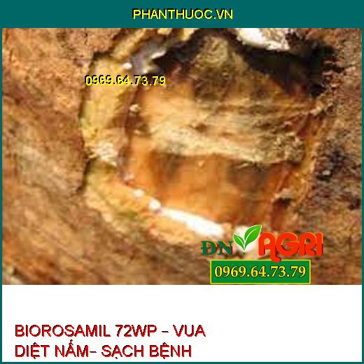 BIOROSAMIL 72WP – VUA DIỆT NẤM– SẠCH BỆNH