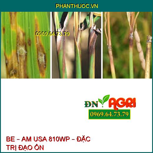 BE – AM USA 810WP – ĐẶC TRỊ ĐẠO ÔN