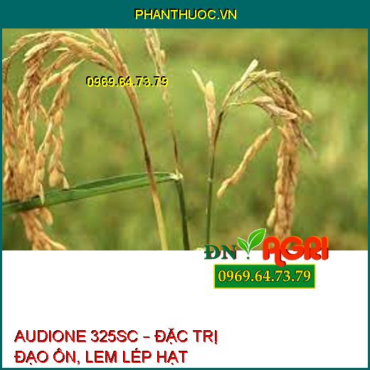 AUDIONE 325SC – ĐẶC TRỊ ĐẠO ÔN, LEM LÉP HẠT