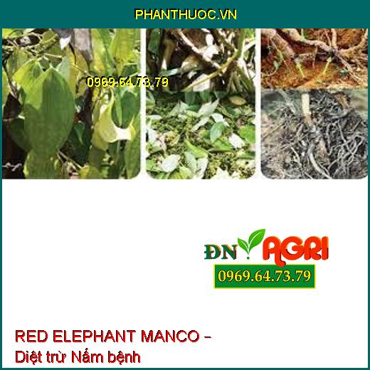 RED ELEPHANT MANCO – Diệt trừ Nấm bệnh